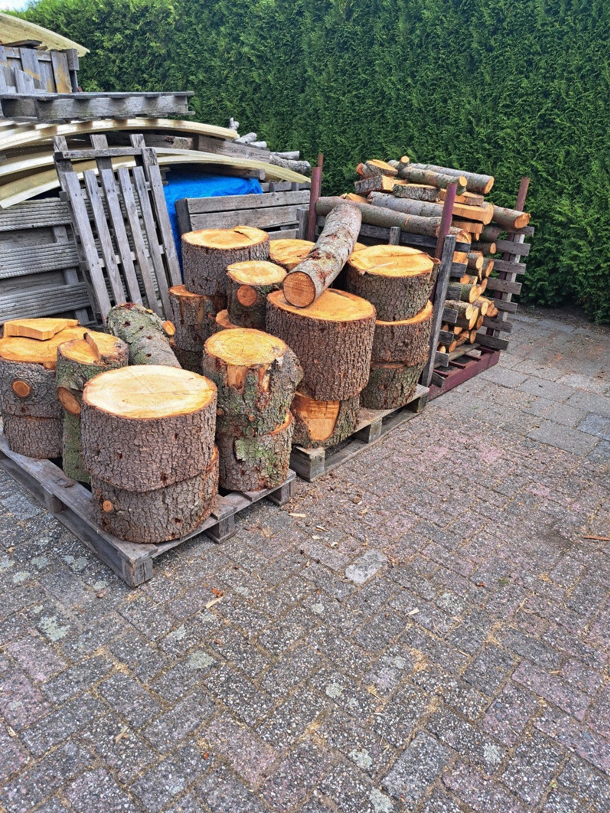 Vers ceder hout, Tuin en Terras, Haardhout, Minder dan 3 m³, Ophalen