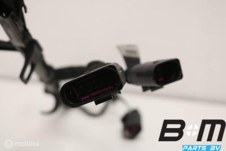 Kabelset verstuivers Audi A3 8V 2.0 TSI CJX 06L971627E, Gebruikt