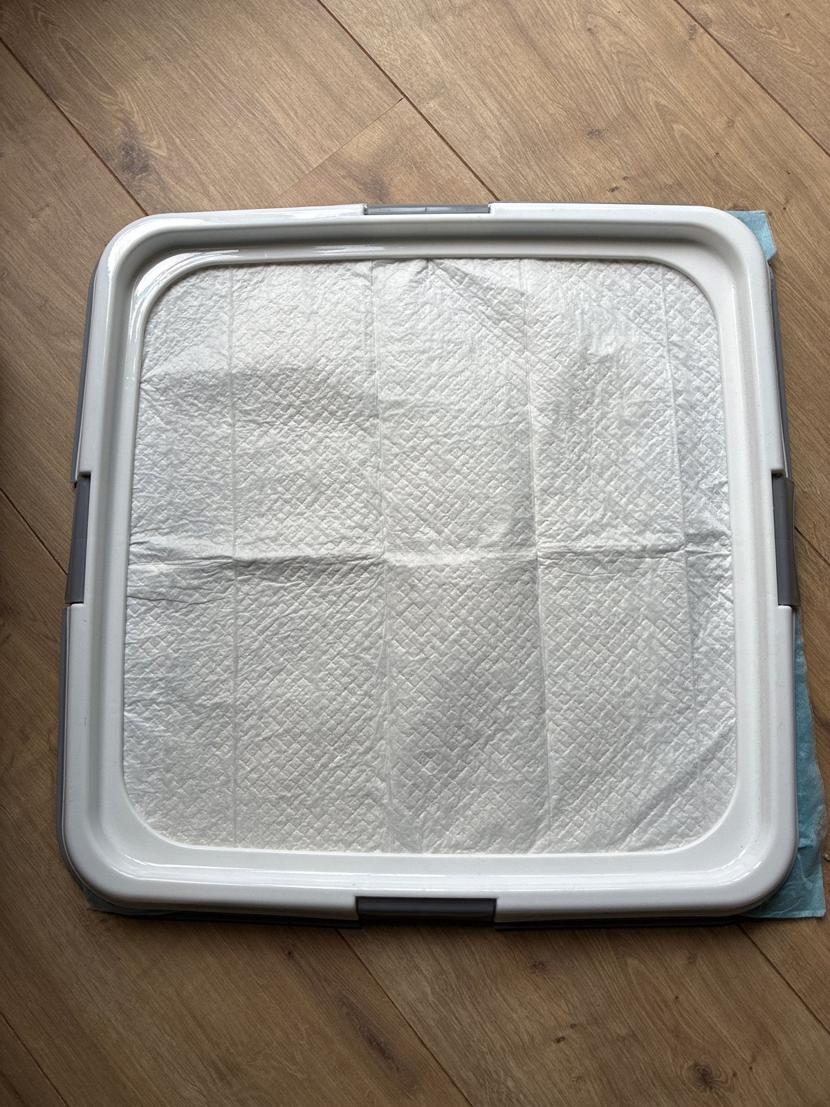 Trainingsmat puppy’s 60x60, Ophalen of Verzenden, Nieuw