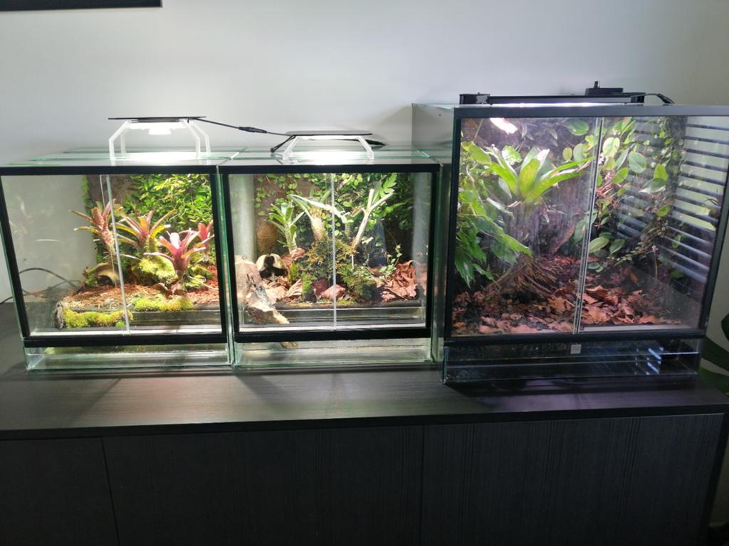 3x paludarium, Dieren en Toebehoren, Reptielen en Amfibieën | Toebehoren, Ophalen, Gebruikt, Terrarium of Paludarium