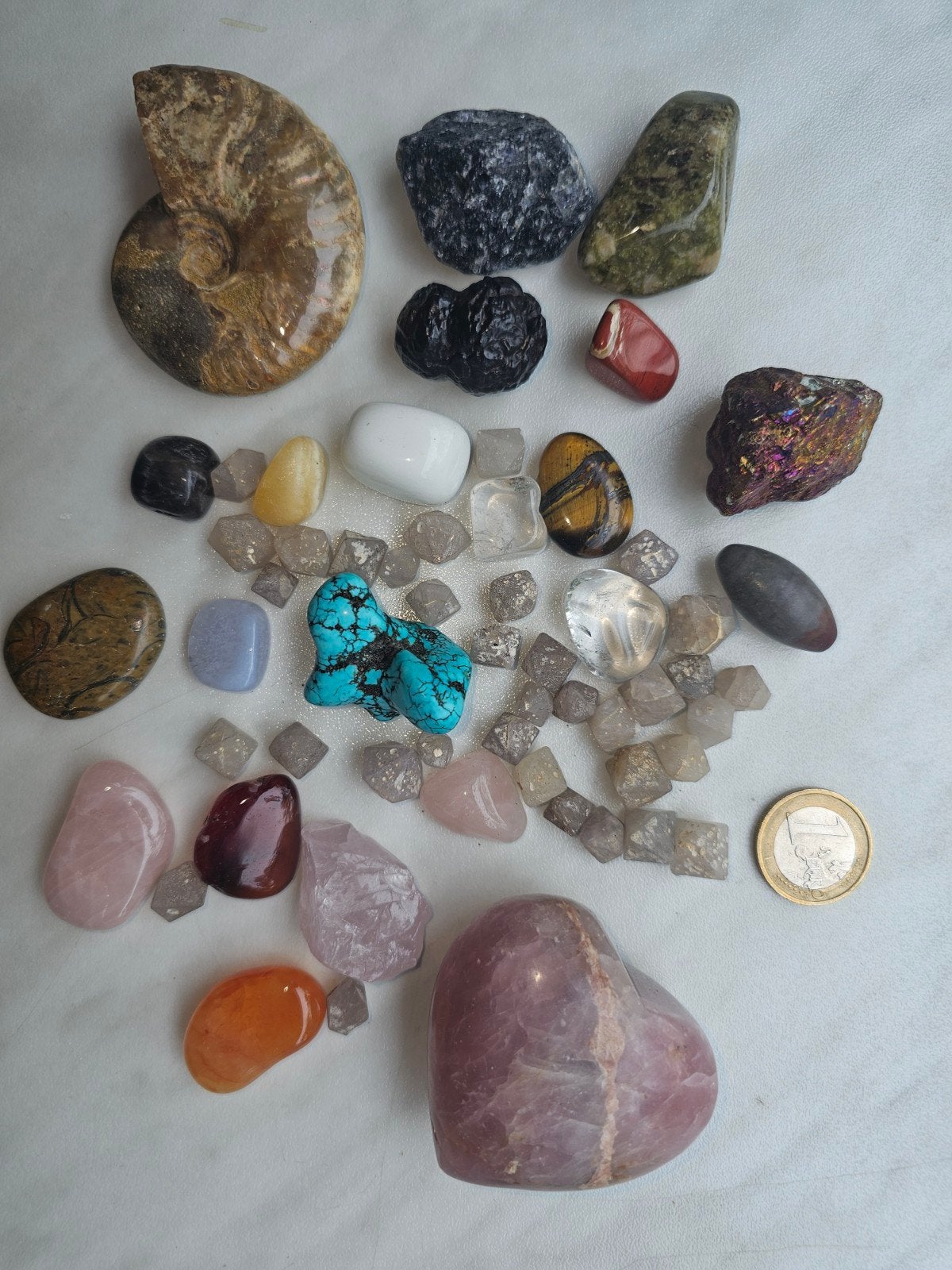 Grote mineralen- en edelstenenverzameling – ammoniet, rozenk, Ophalen of Verzenden, Zo goed als nieuw