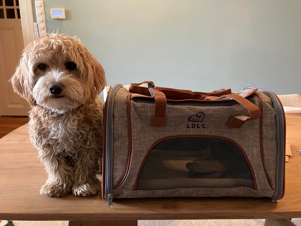 Reistas voor hond of kat, Ophalen, Nieuw, Stof