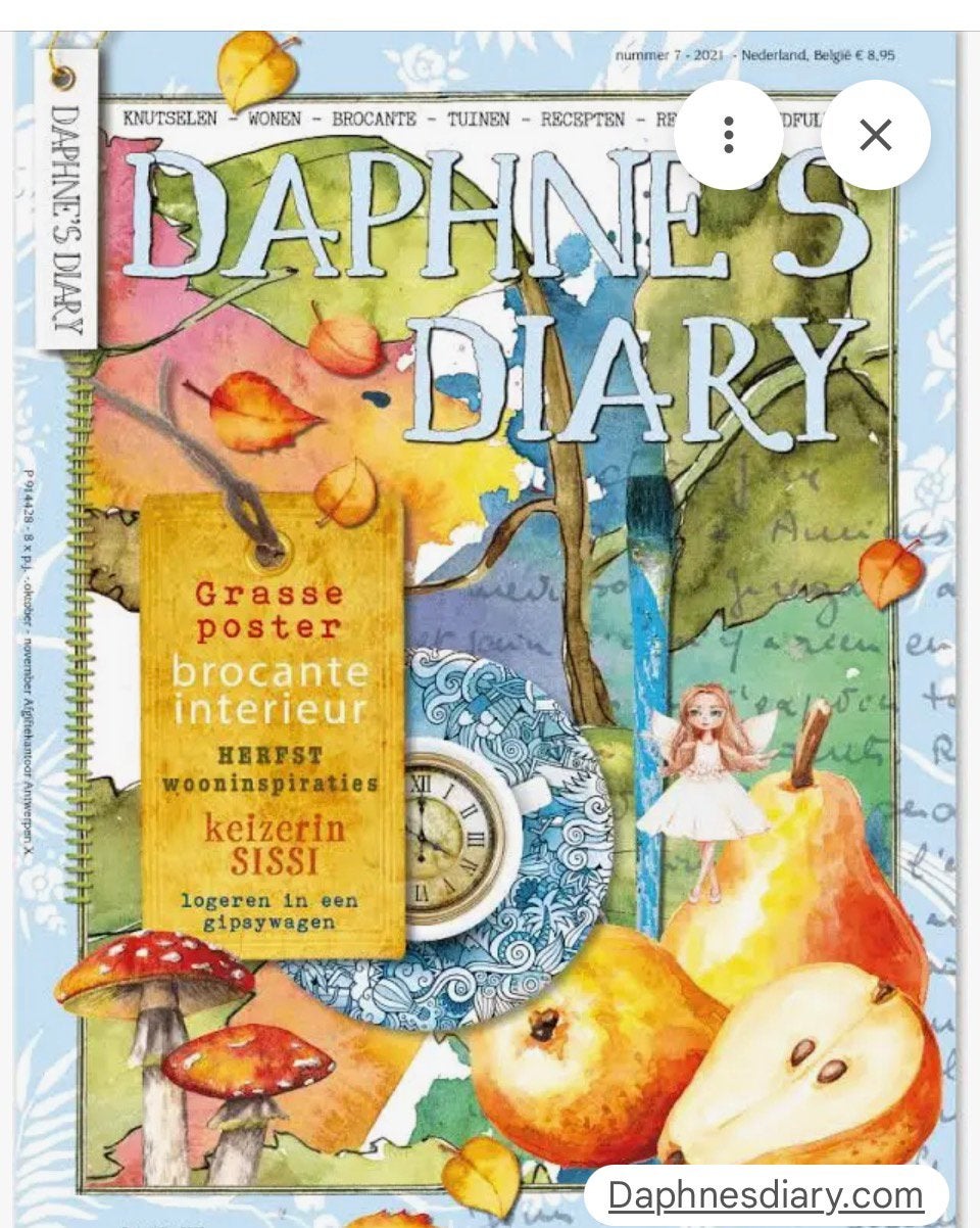 Daphne’s diary, flow en happinez, Boeken, Ophalen of Verzenden, Zo goed als nieuw, Lichaam en Geest
