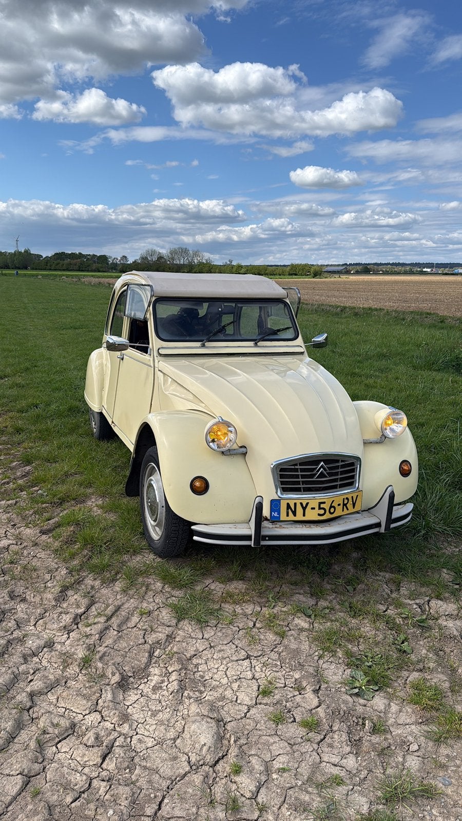 Citroën 2CV 0.6 Spec 1986 Geel, Voorwielaandrijving, 602 cc, 2CV, 400 kg