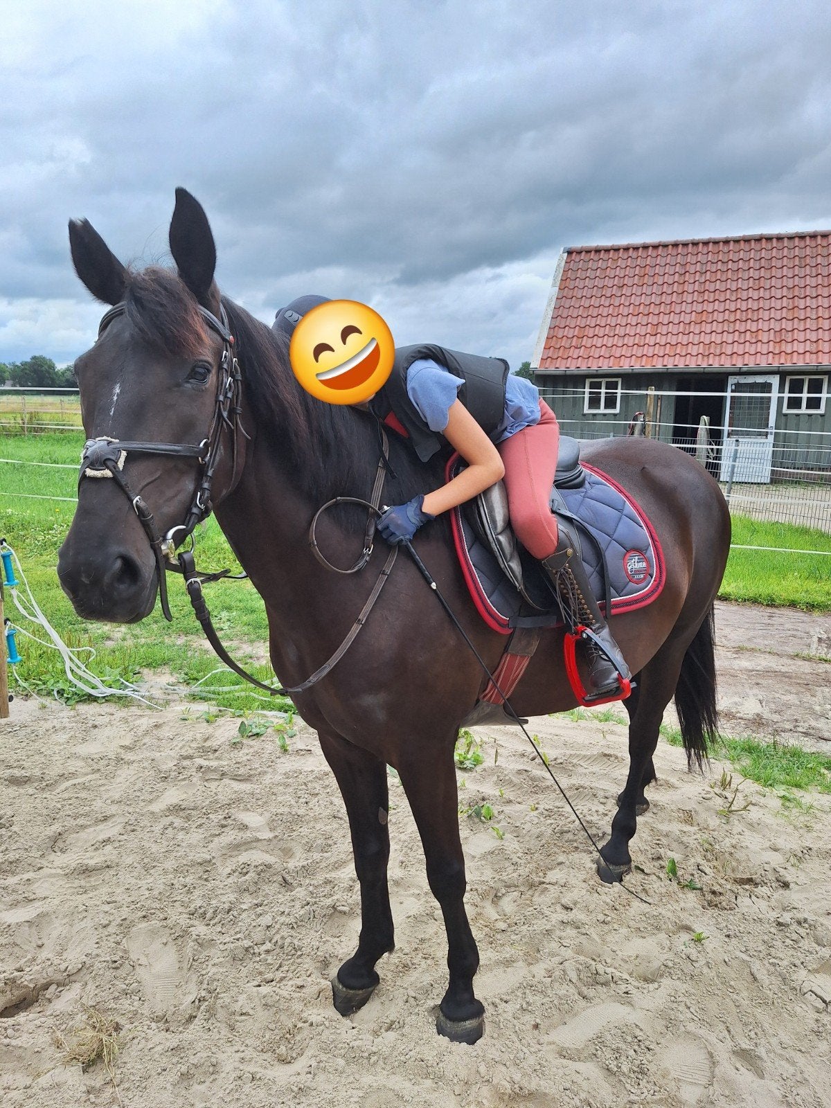 Lieve D-pony te koop, Dieren en Toebehoren, Pony's, Zadelmak, 3 tot 6 jaar, Recreatiepony, D pony (1.37m tot 1.48m)
