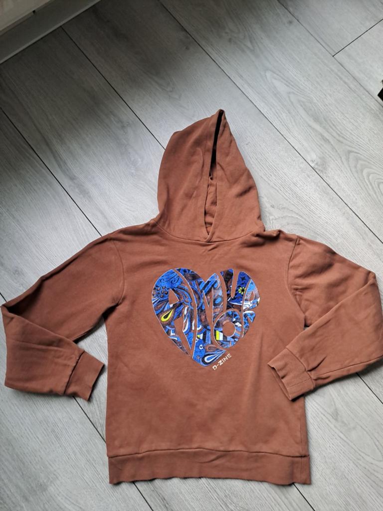 Leuke hoody maat 164-170 D-zine, Kinderen en Baby's, Kinderkleding | Maat 164, Meisje, D-Zine, Trui of Vest, Ophalen of Verzenden