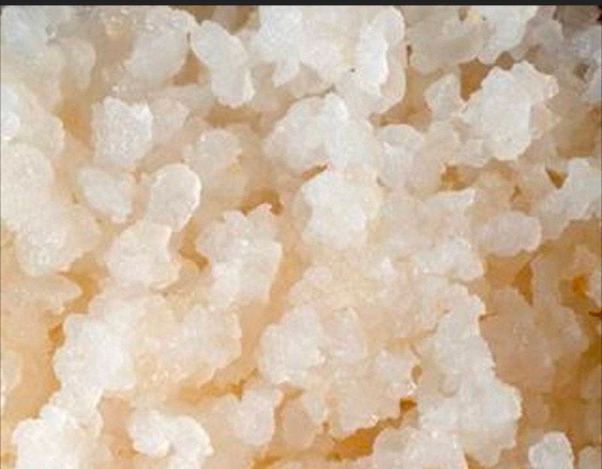 Gezocht: gratis waterkefir korrels, Ophalen