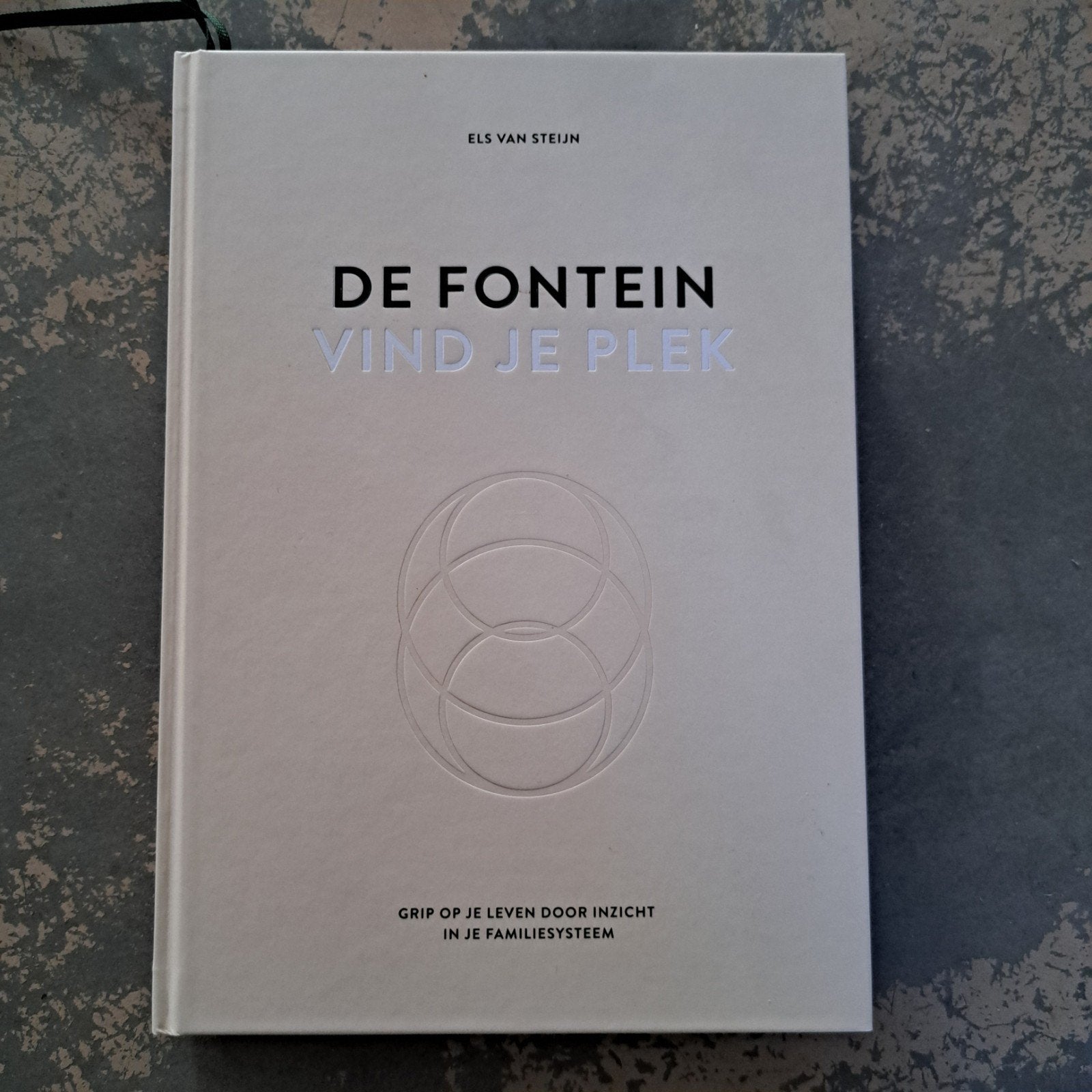 De Fontein: Vind je plek - Els van Steijn, Boeken, Ophalen of Verzenden, Zo goed als nieuw, Overige onderwerpen, Els van Steijn