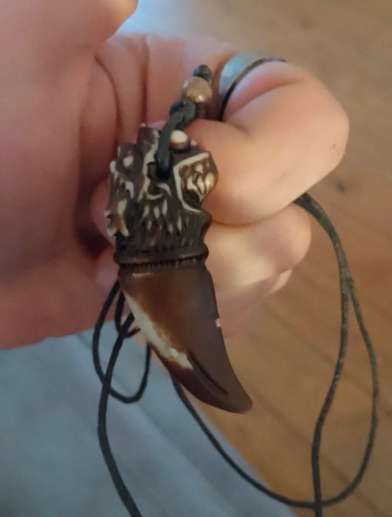 Unieke Tand Ketting met Gedetailleerde Hanger, Sieraden, Tassen en Uiterlijk, Kettingen, Gebruikt, Overige materialen, Bruin, Met hanger
