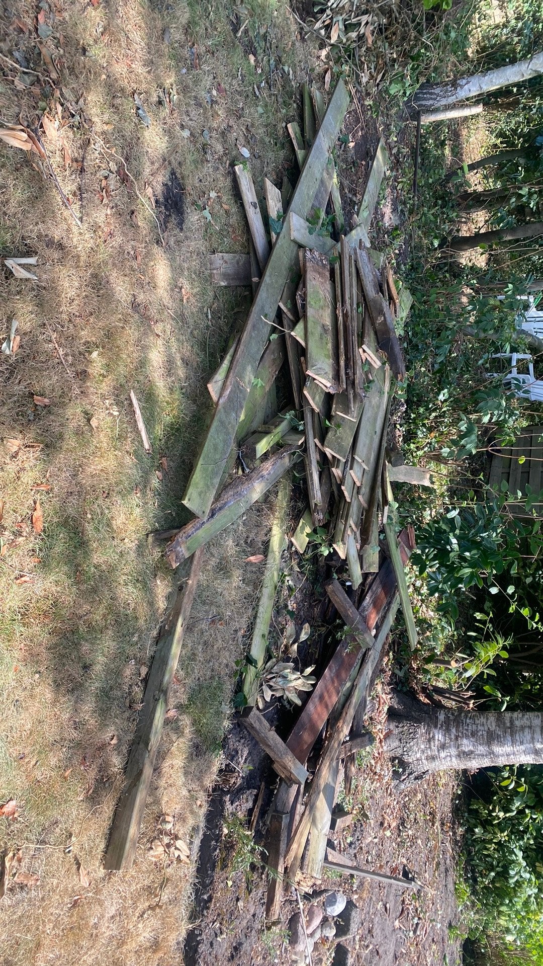 Gratis brandhout, Tuin en Terras, Minder dan 3 m³, Ophalen