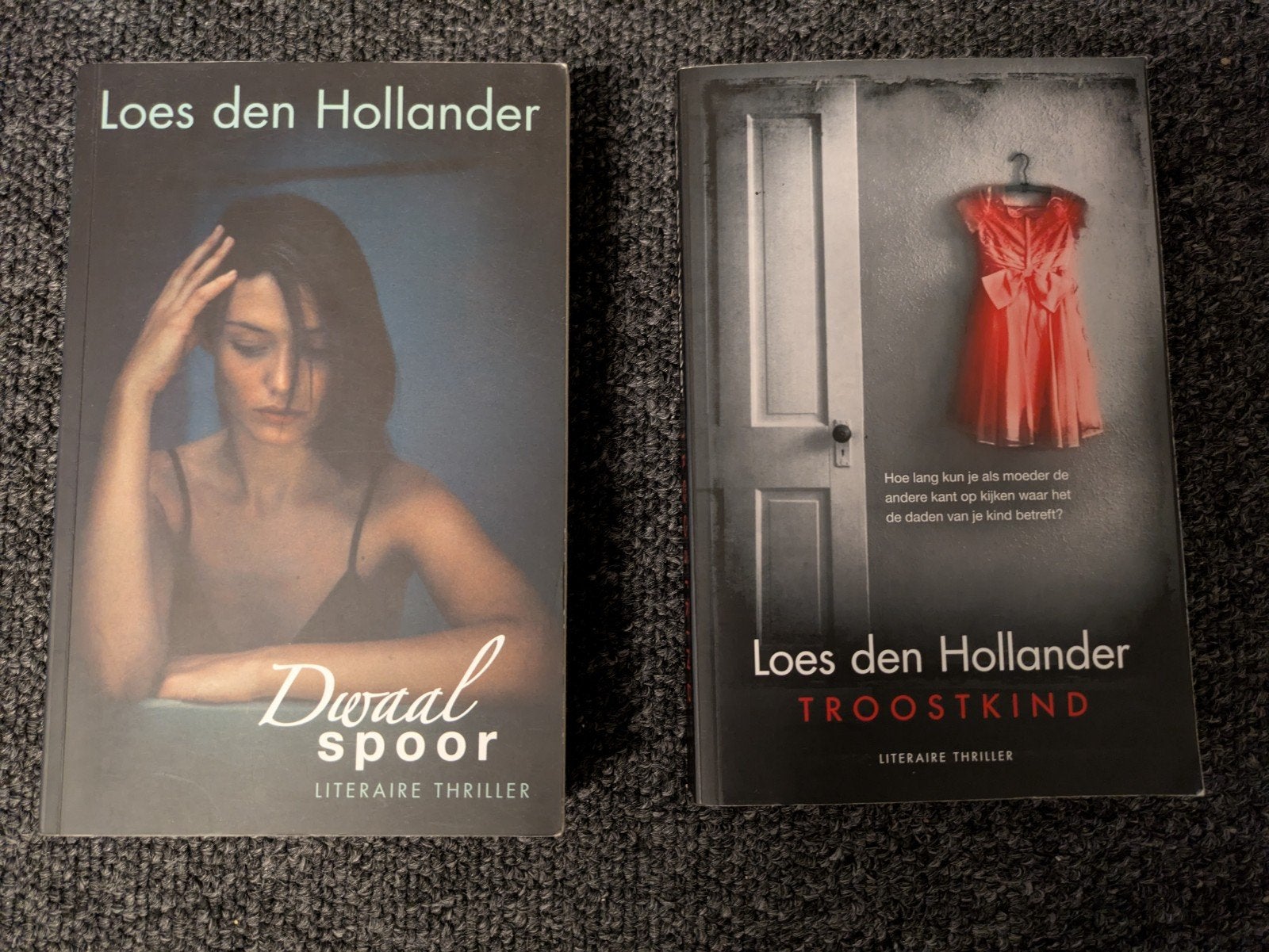 Boeken van Loes den Hollander: Dwaalspoor & Troostkind, Ophalen of Verzenden, Zo goed als nieuw, Loes den Hollander, Nederland