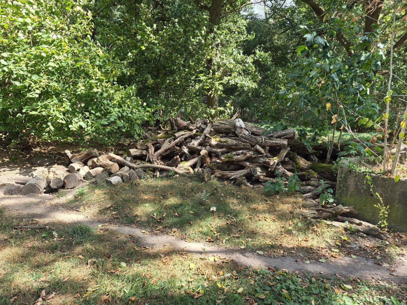 brandhout te koop, Tuin en Terras, Haardhout, 3 tot 6 m³, Ophalen, Overige houtsoorten, Stammen
