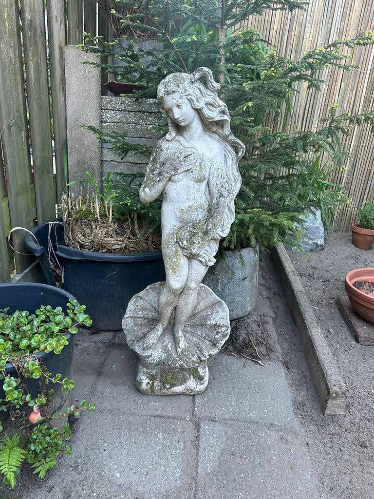 Tuinbeeld ornament Venus, Tuin en Terras, Tuinbeelden, Ophalen, Zo goed als nieuw, Steen, Mensenbeeld