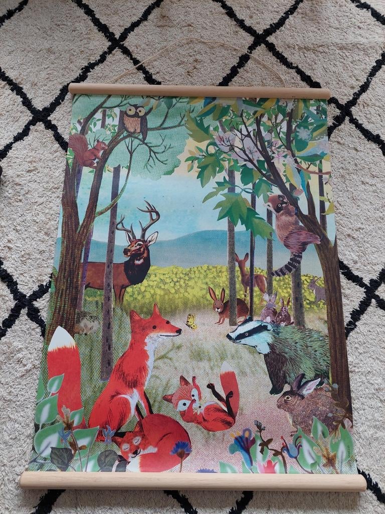 Oude schoolplaat bosdieren         H: 70cm B: 51cm, Ophalen of Verzenden, Natuur en Biologie