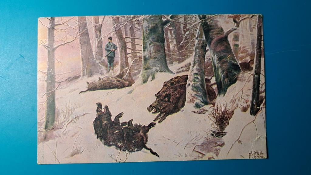 Wild zwijn, illustrator Ludwig Fromme - 1925, Ophalen of Verzenden, 1920 tot 1940, Gelopen