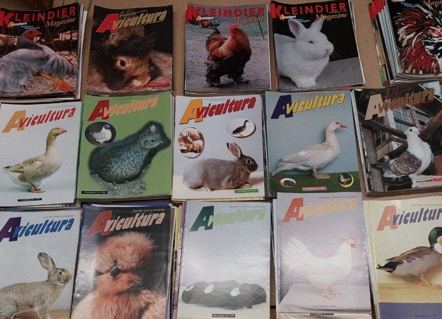 Avicultura 24 jaargangen/280 tijdschriften.1986 t/m 2008., Boeken, Tijdschriften en Kranten, Zo goed als nieuw, Overige typen