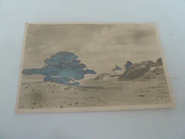 Hoenderloo 1936 Fotokaart Nationale Park De Hoge Veluwe, Ophalen of Verzenden, 1920 tot 1940, Gelopen, Gelderland
