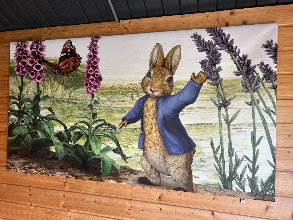 Beatrix Potter  / Pieter Rabbit, Ophalen, Zo goed als nieuw