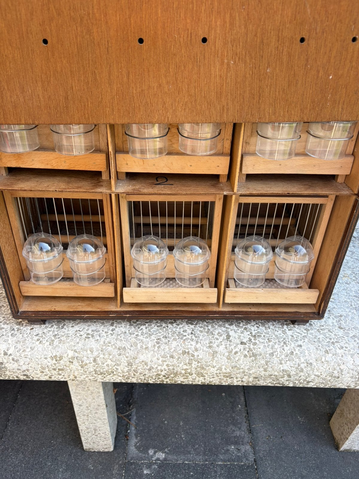 Zang kast kanarie, 6 stuks in een , heb ook een met 4, Dieren en Toebehoren, Ophalen, Zo goed als nieuw, Hout, Vogelkooi