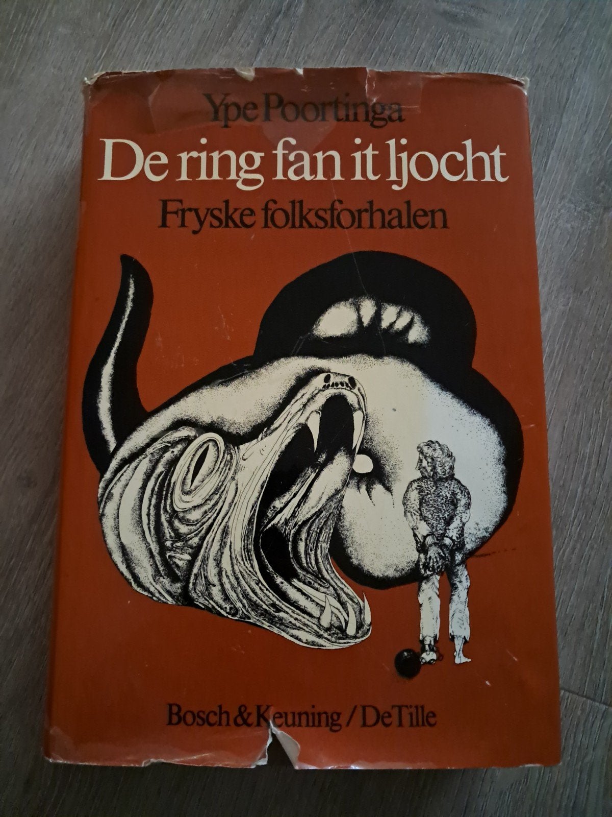 Z6 De ring fan it ljocht - Fryske folksforhalen, Ophalen of Verzenden, Gelezen, Ype Poortinga, Nederland