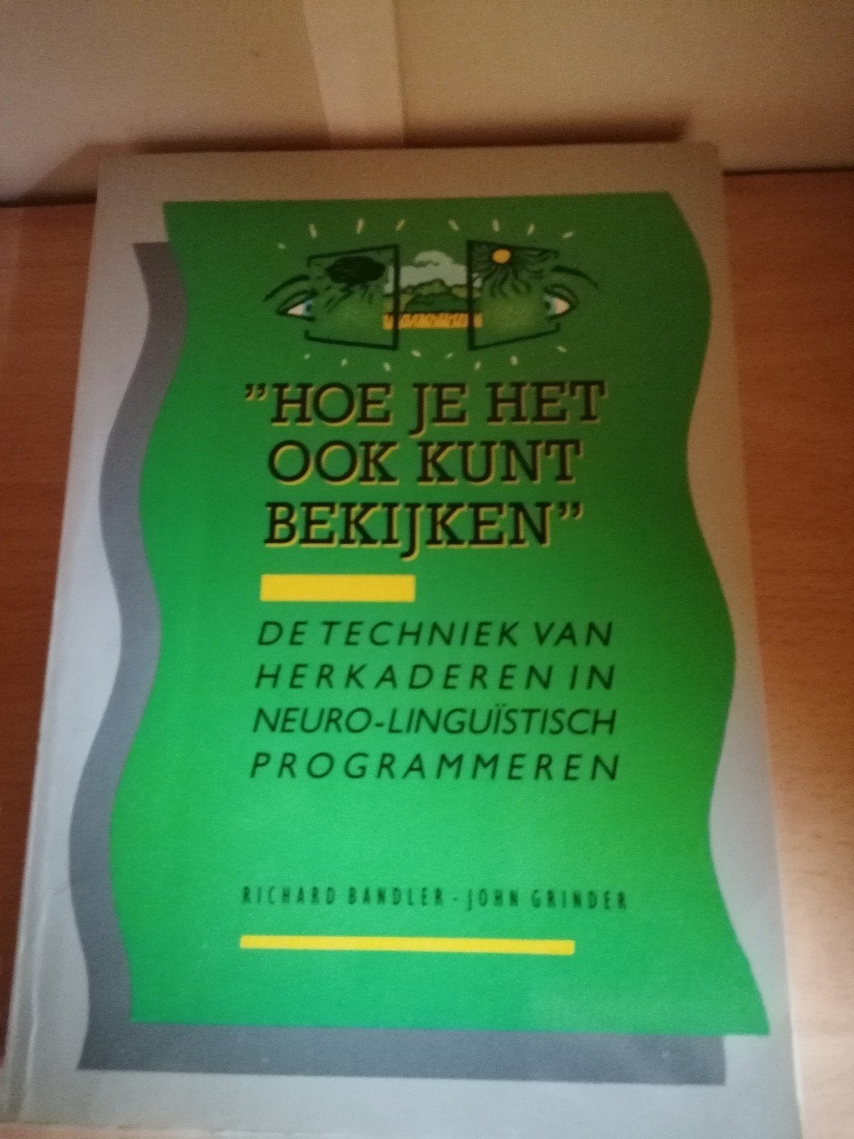 Boek: Hoe je het ook kunt bekijken - NLP, Boeken, Ophalen of Verzenden, Gelezen, Richard Bandler, John Grinder