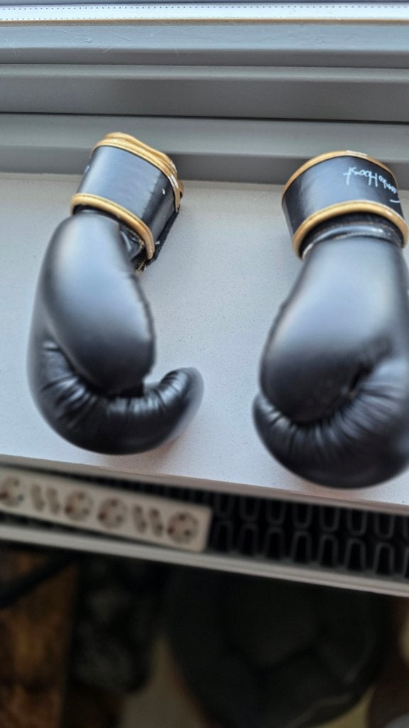 Te koop, kids boxing gloves: Ernesto Hoost, Ophalen, Gebruikt, Bokshandschoenen