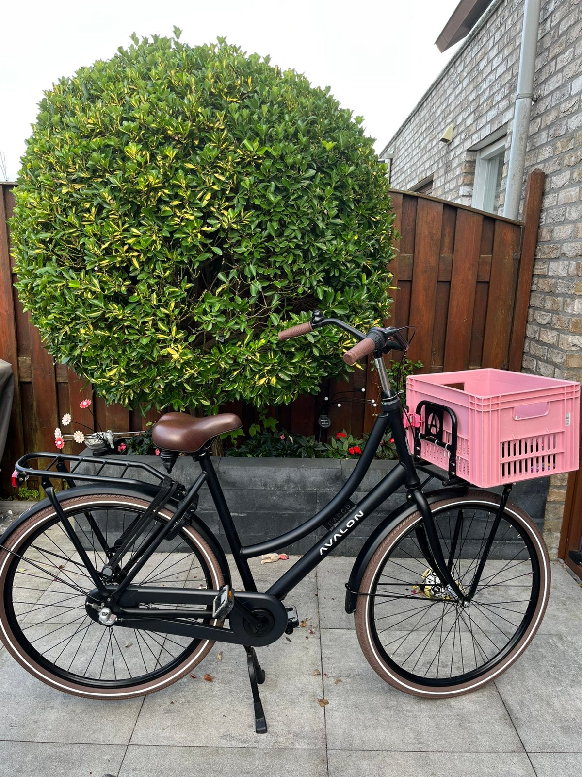 Avalon cargo dames fiets, 56 cm of meer, Ophalen, Zo goed als nieuw