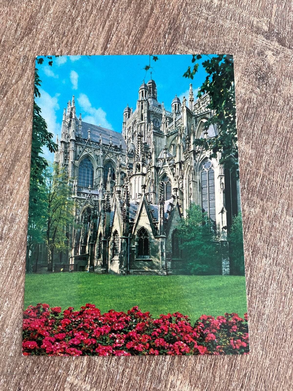 Ansichtkaart Den Bosch - Kathedrale Basiliek van St. Jan, Verzamelen, Ophalen of Verzenden, Ongelopen, Noord-Brabant