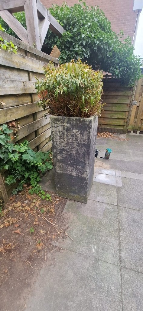 Gratis af te halen: 2 betonnen plantenbakken, Ophalen, Gebruikt, Vierkant, Beton