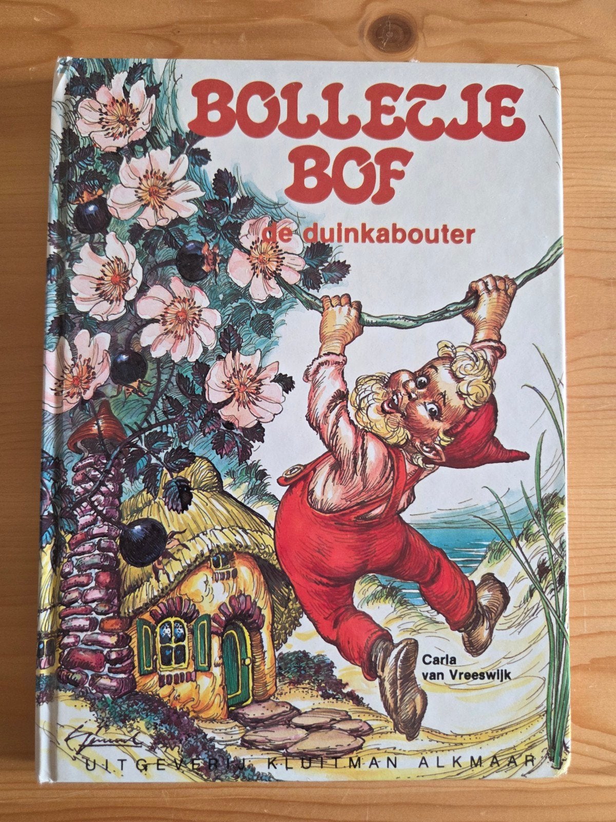 Carla van Vreeswijk bolletje bof de duinkabouter, Ophalen of Verzenden, Gelezen, Fictie algemeen
