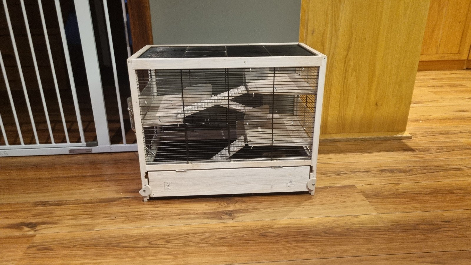 Hamsterkooi, Dieren en Toebehoren, Kooi, Minder dan 75 cm, Cavia, Ophalen