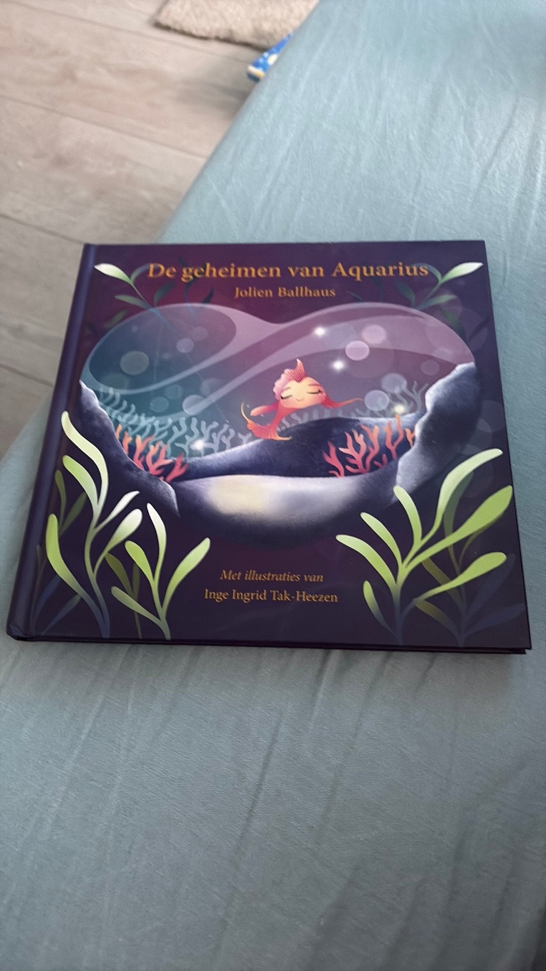 Jolien Ballhaus - De geheimen van Aquarius, Fictie algemeen, Ophalen of Verzenden, Zo goed als nieuw, Jolien Ballhaus