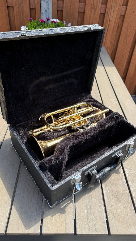 Cornet, Ophalen, Zo goed als nieuw, Overige typen, Met koffer