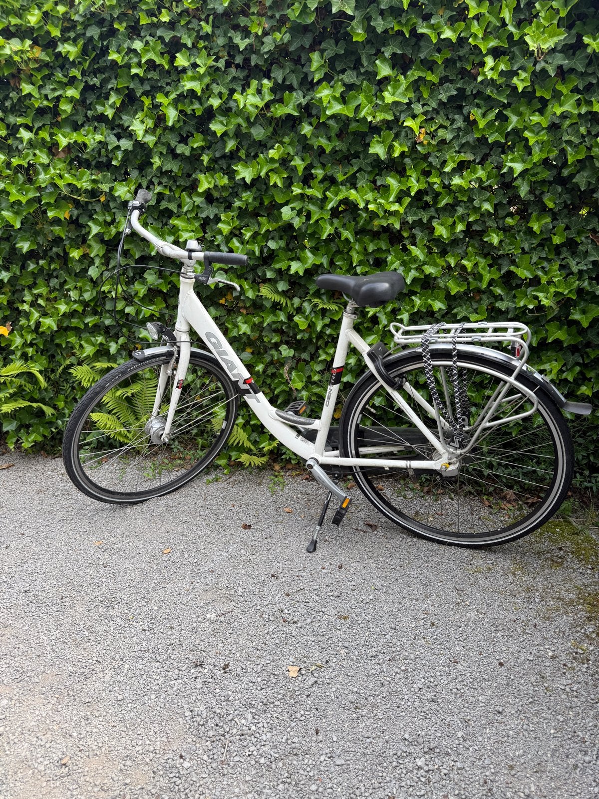 Giant Centra damesfiets - Wit, gebruikt, Ophalen, Velgrem, Giant, 50 tot 53 cm