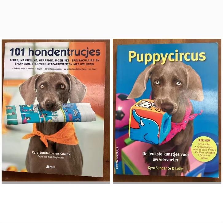 101 Hondentrucjes / Puppycircus (NL) - Kyra Sundance, Ophalen of Verzenden, Gelezen, Honden, Kyra Sundance