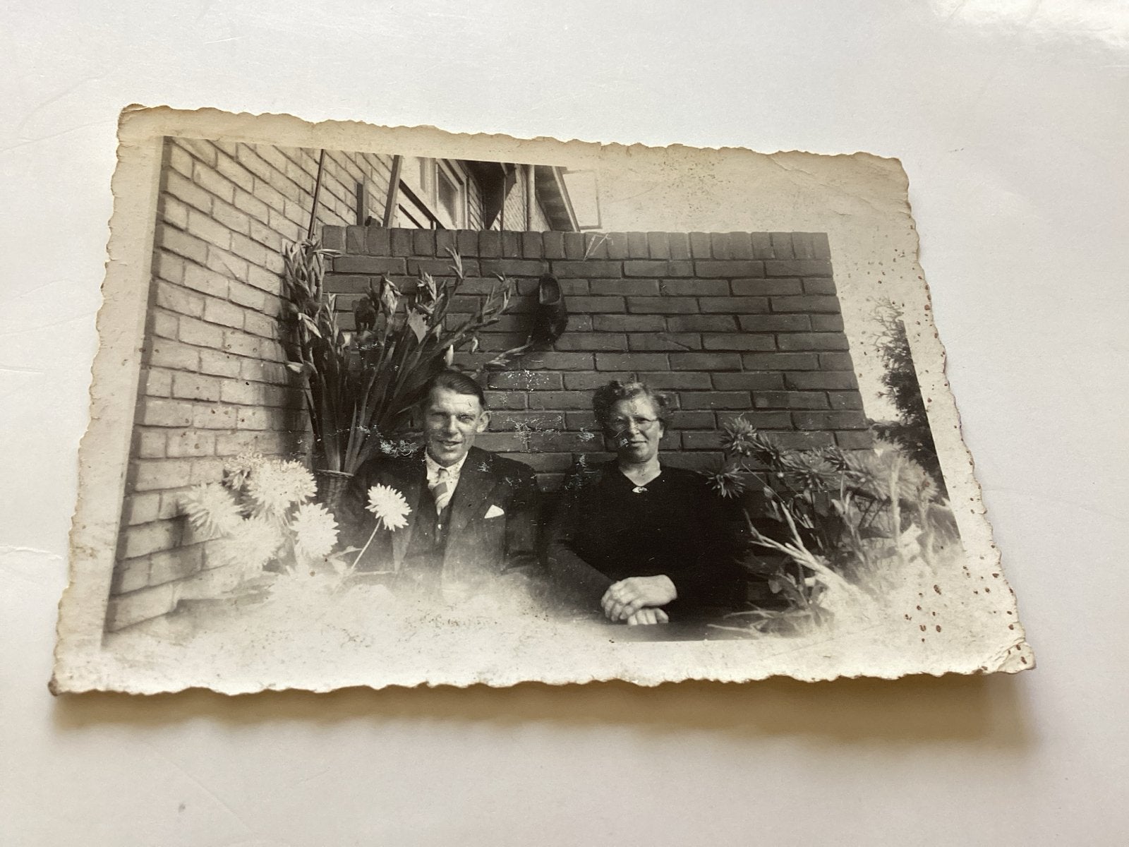 Oude foto van een stel in de tuin, jaren '40-'60, Gebruikt, Foto, Ophalen of Verzenden, 1940 tot 1960
