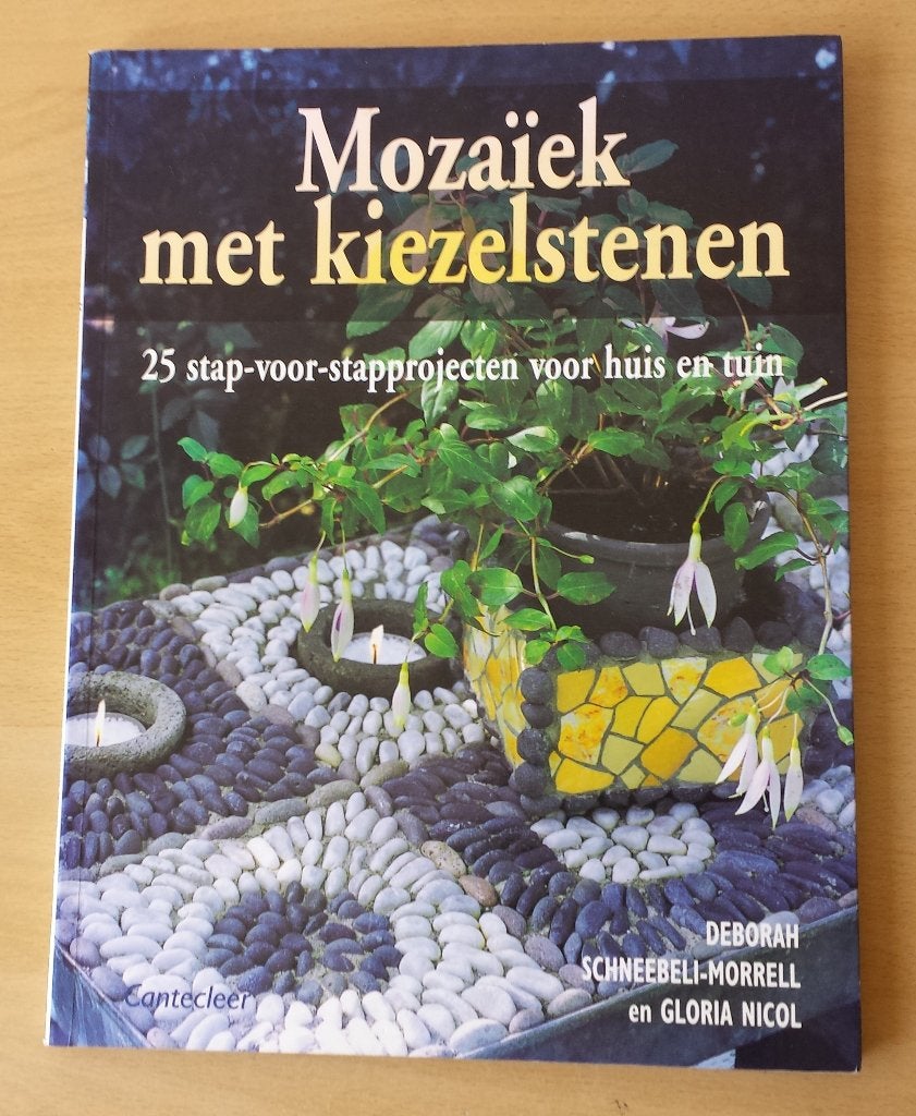 Mozaïek met Kiezelstenen - D. Schneebeli & G. Nicol - 2003, Boeken, Ophalen of Verzenden, Gelezen, Overige onderwerpen