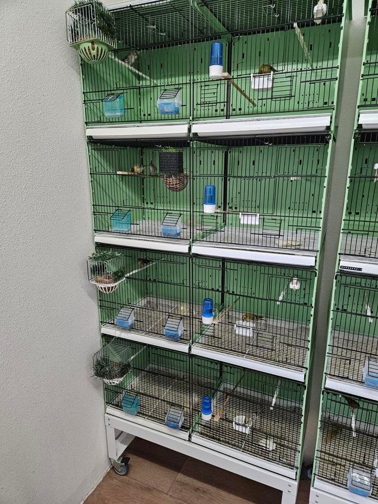 2gr kunststof broedkooien met onderstel, Dieren en Toebehoren, Vogels | Hokken en Kooien, Ophalen, Zo goed als nieuw, Kunststof