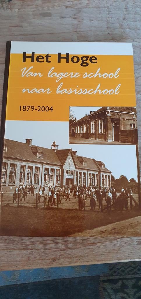 Het Hoge.Van lagere school naar basisschool. 1879-2004 Vorde, Boeken, Geschiedenis | Stad en Regio, Ophalen of Verzenden, Zo goed als nieuw