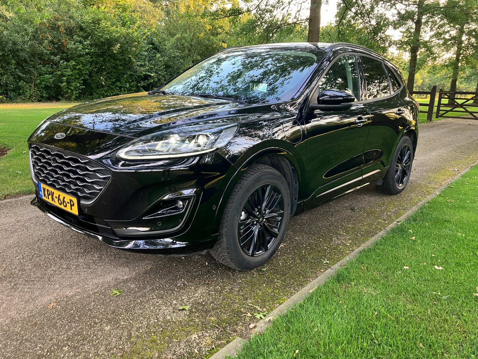 Ford Kuga 2.5 Phev ALL BLACK B&O Pano Leder trekhaak etc etc, Zwart, Zwart, 152 pk, 71 km/l