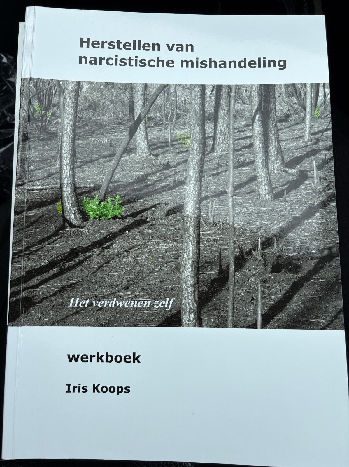 Herstellen van narcistische mishandeling - Werkboek, Ophalen of Verzenden, Gelezen