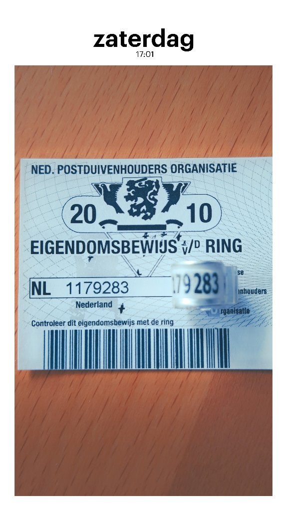 Duivenring 2010 met eigendomsbewijs, Ophalen of Verzenden, Paard, Beeldje of Figuurtje