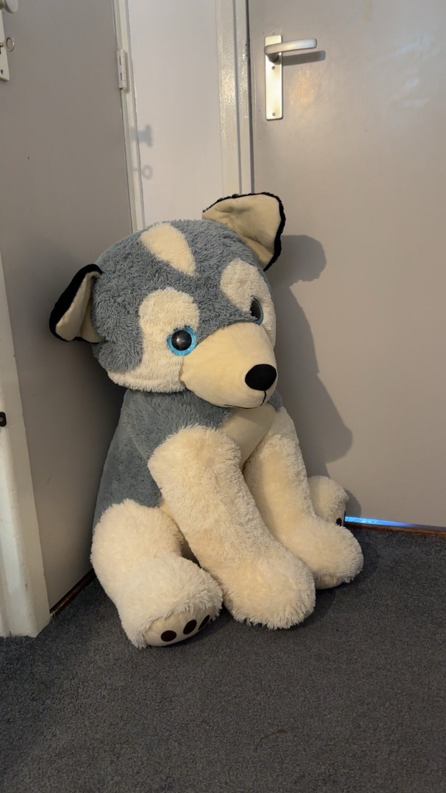 Extra Grote knuffelhond - Husky, Ophalen, Grijs, Hond, Zo goed als nieuw