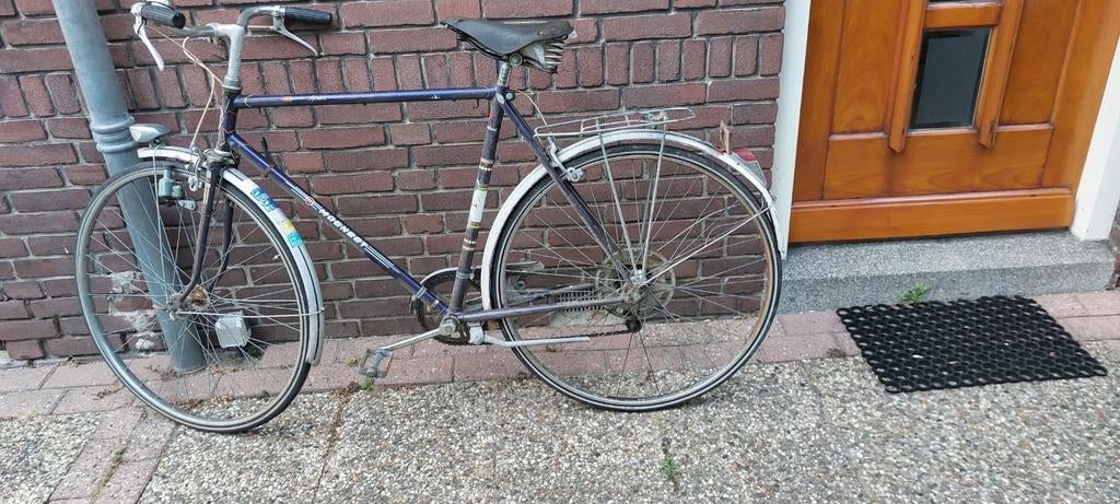 Magneet sportieve fiets, Ophalen of Verzenden, Gebruikt, Versnellingen