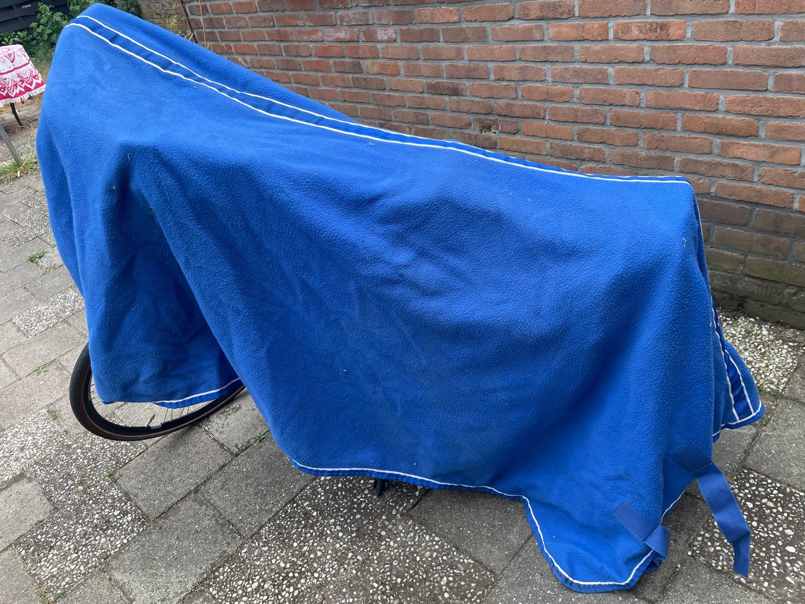 Zweet deken met hals, Dieren en Toebehoren, Ophalen of Verzenden
