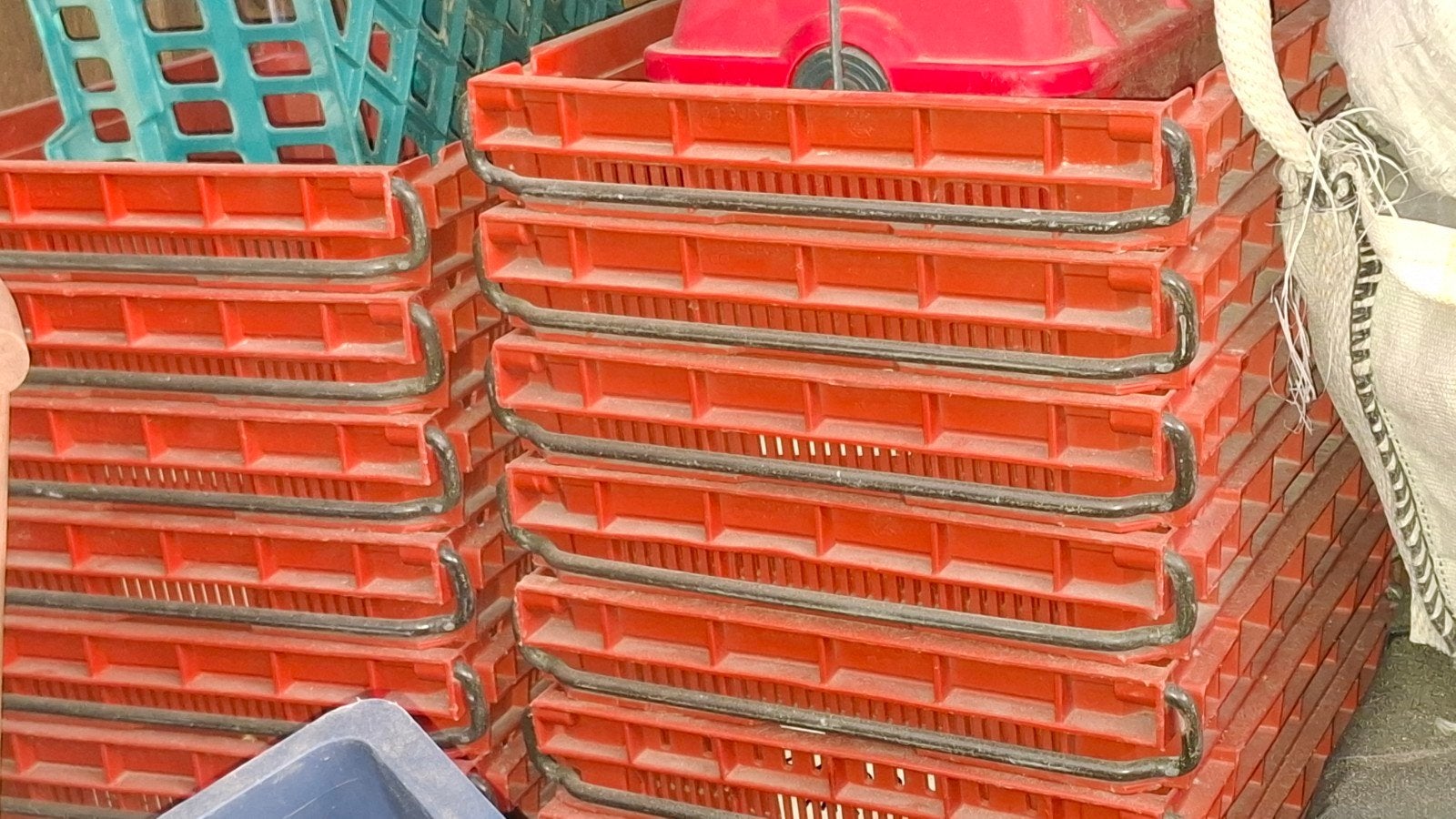 Stapelbare en nestbare rode kratten, Doe-het-zelf en Verbouw, Kratten en Dozen, Ophalen, Gebruikt, 40 tot 60 cm, 50 tot 75 cm