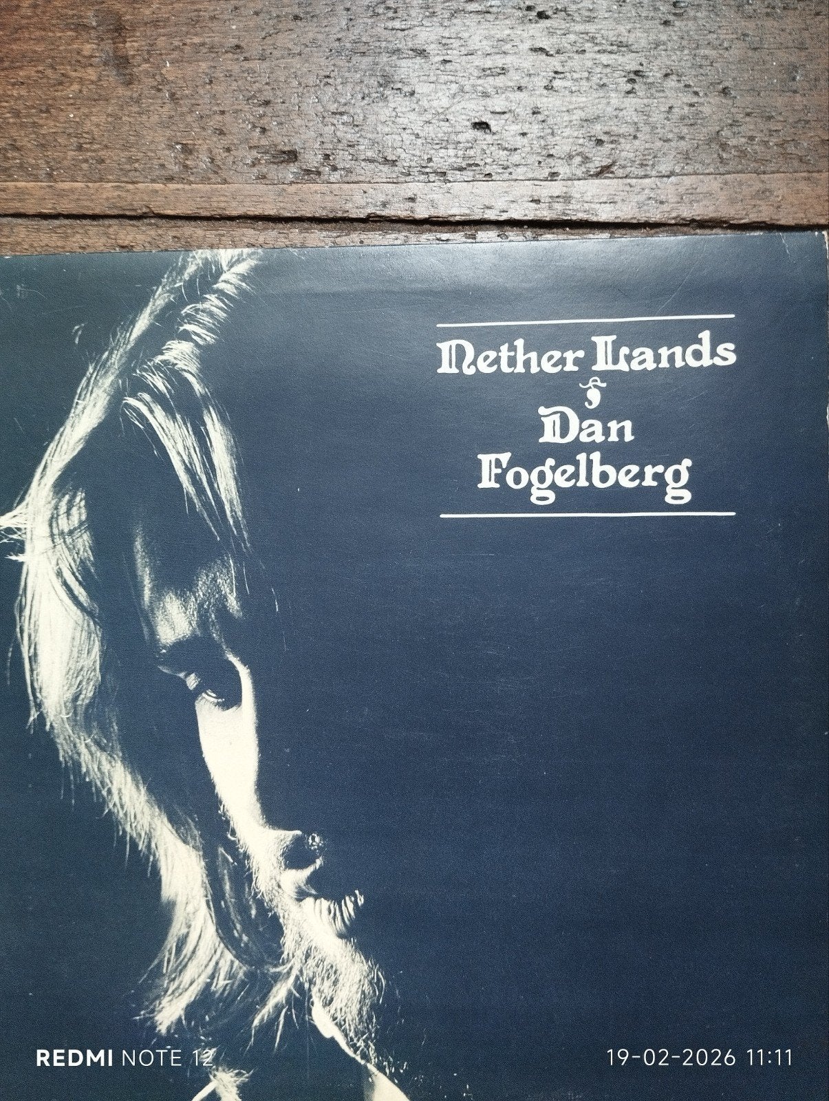 Dan Fogelberg- NETHER LANDS, Ophalen of Verzenden, Zo goed als nieuw, Overige formaten, Poprock
