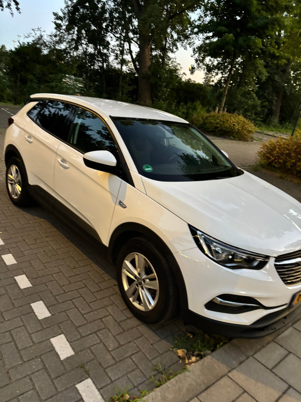 Opel Grandland X 1.2 Turbo 130pk S&S 2017 Wit, Voorwielaandrijving, 1350 kg, 1199 cc, Wit