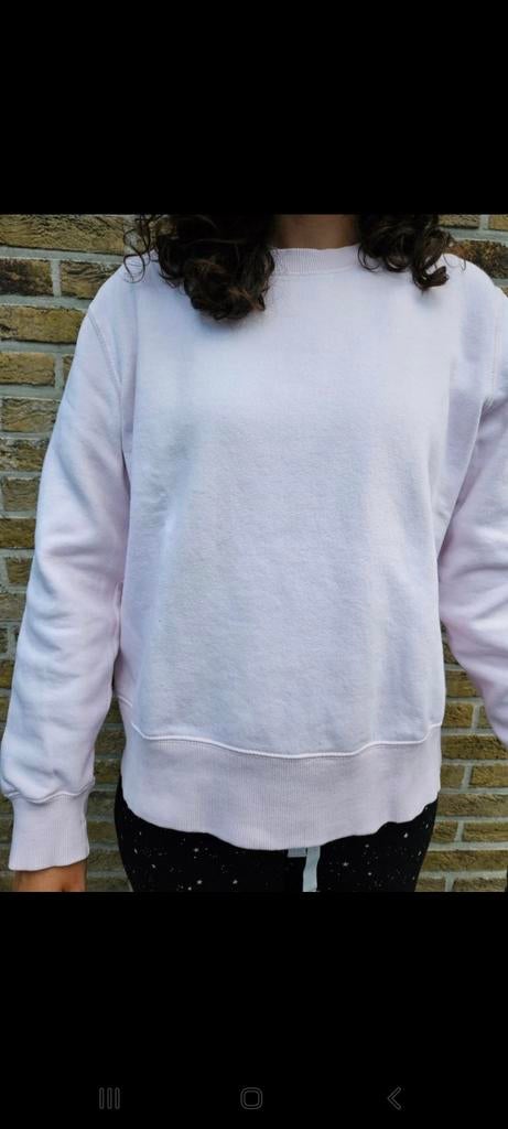 Zara, Kleding | Dames, Truien en Vesten, Ophalen of Verzenden
