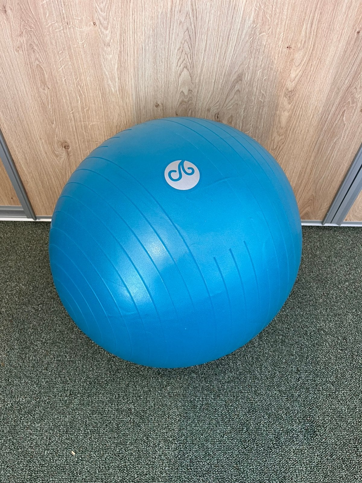 Yoga/oefen bal, Ophalen, Gebruikt